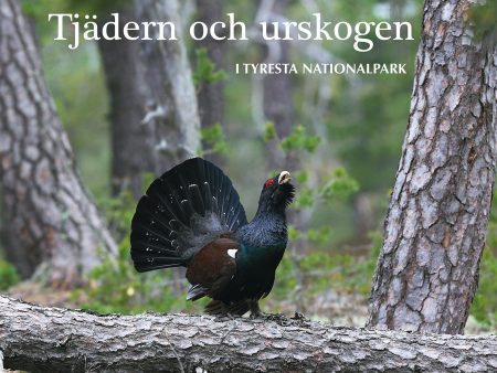 Tjädern och urskogen : i Tyresta nationalpark Discount