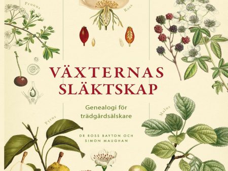 Växternas släktskap : genealogi för trädgårdsälskare Online now