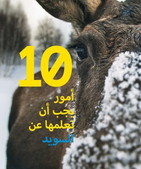 10 things to know about Sweden: arabiska 5-pack For Sale