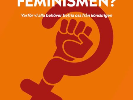 Behöver vi fortfarande feminismen? : varför vi alla behöver befria oss från Hot on Sale