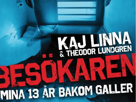 Besökaren : mina 13 år bakom galler Online Sale