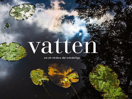 Vatten : Om att värdera det ovärderliga Fashion