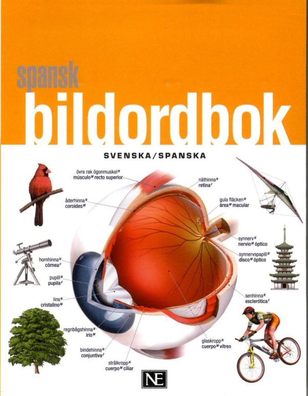 Spansk bildordbok For Discount